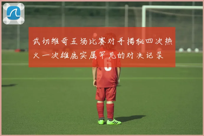 武切维奇五场比赛对手揭秘四次热火一次雄鹿实属罕见的对决记录