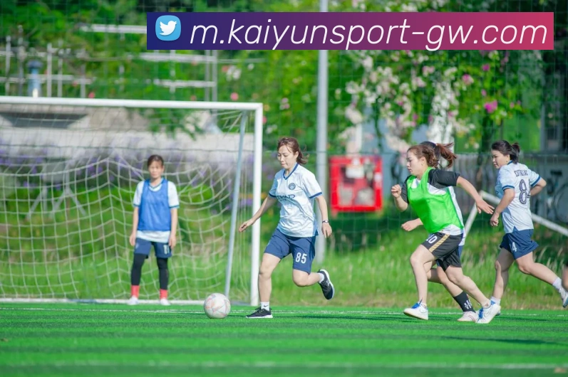 开云体育平台生态图